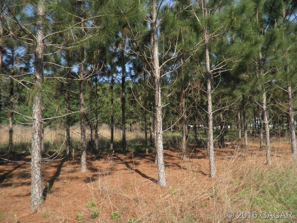 00 Vacant Lot - Photo 1