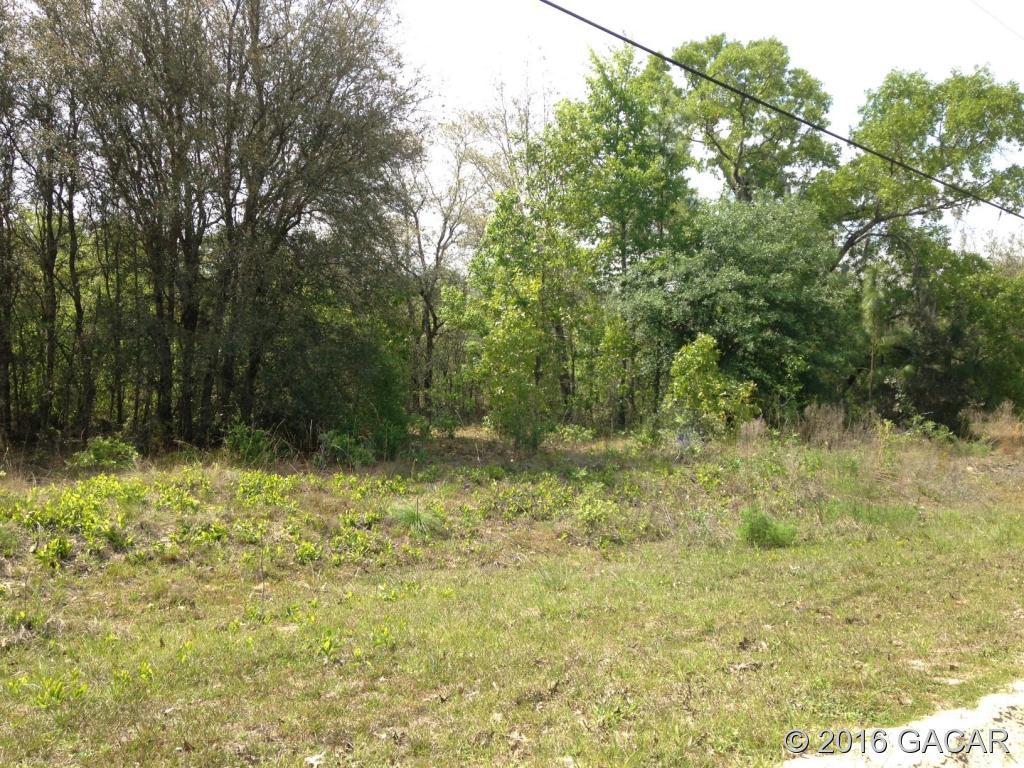 7680 White Sands Avenue - Photo 1