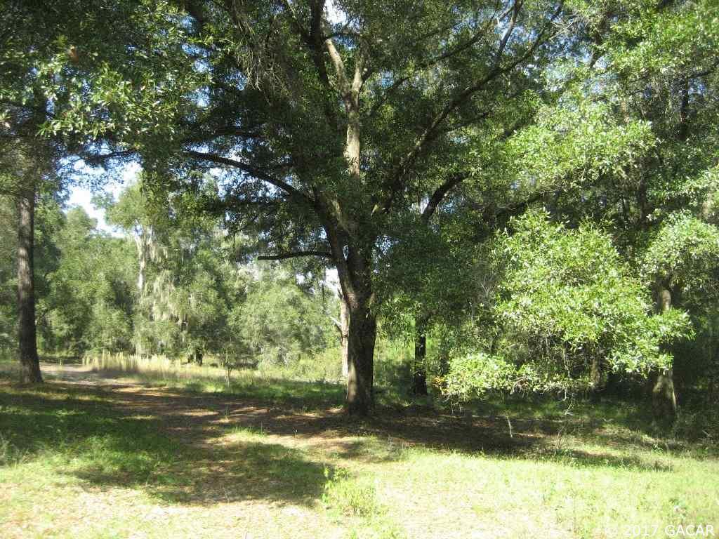 5400 County Rd Hawthorne Road - Photo 1