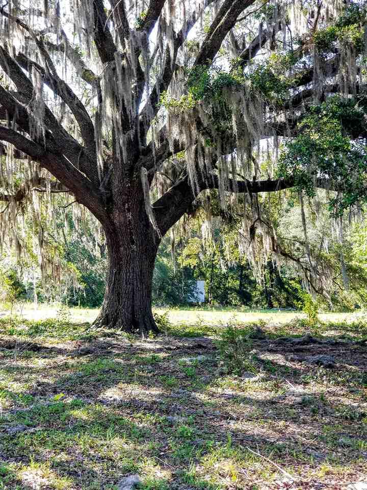 16702 State Road 45 - Photo 1