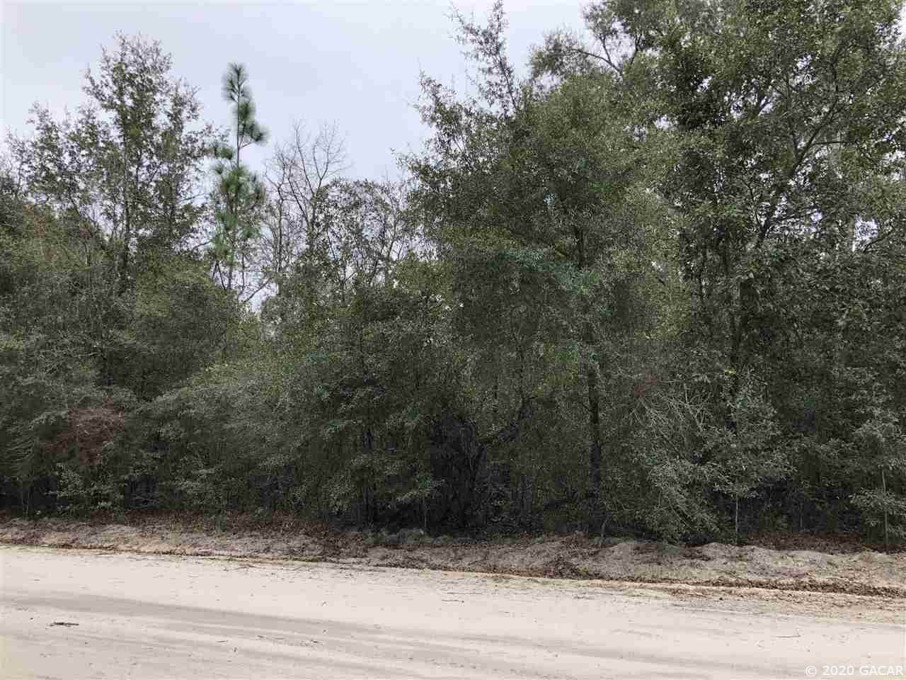 TBD 220th Path - Photo 1