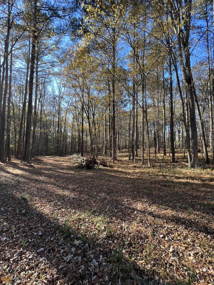 TRACT 7 Monroe Jersey Road - Photo 1