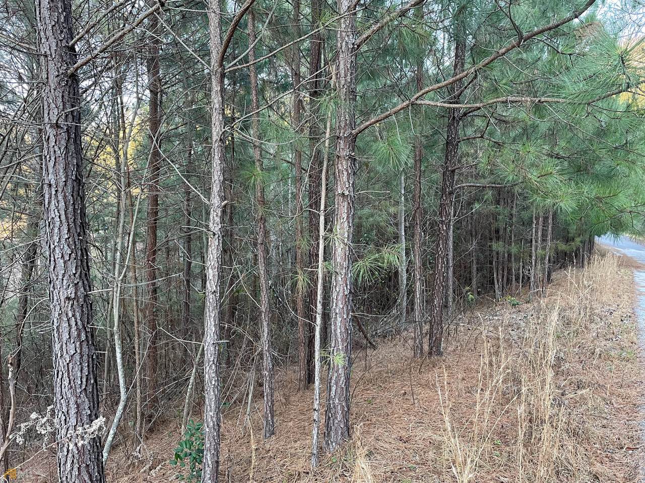 LOT 7 Autumn Ridge - Photo 1