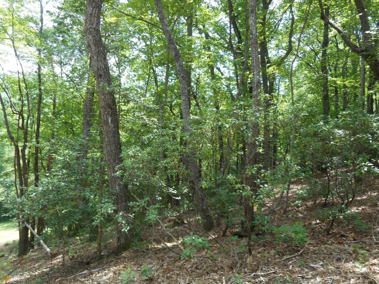 27 AC Oakey Mountain Rd - Photo 1