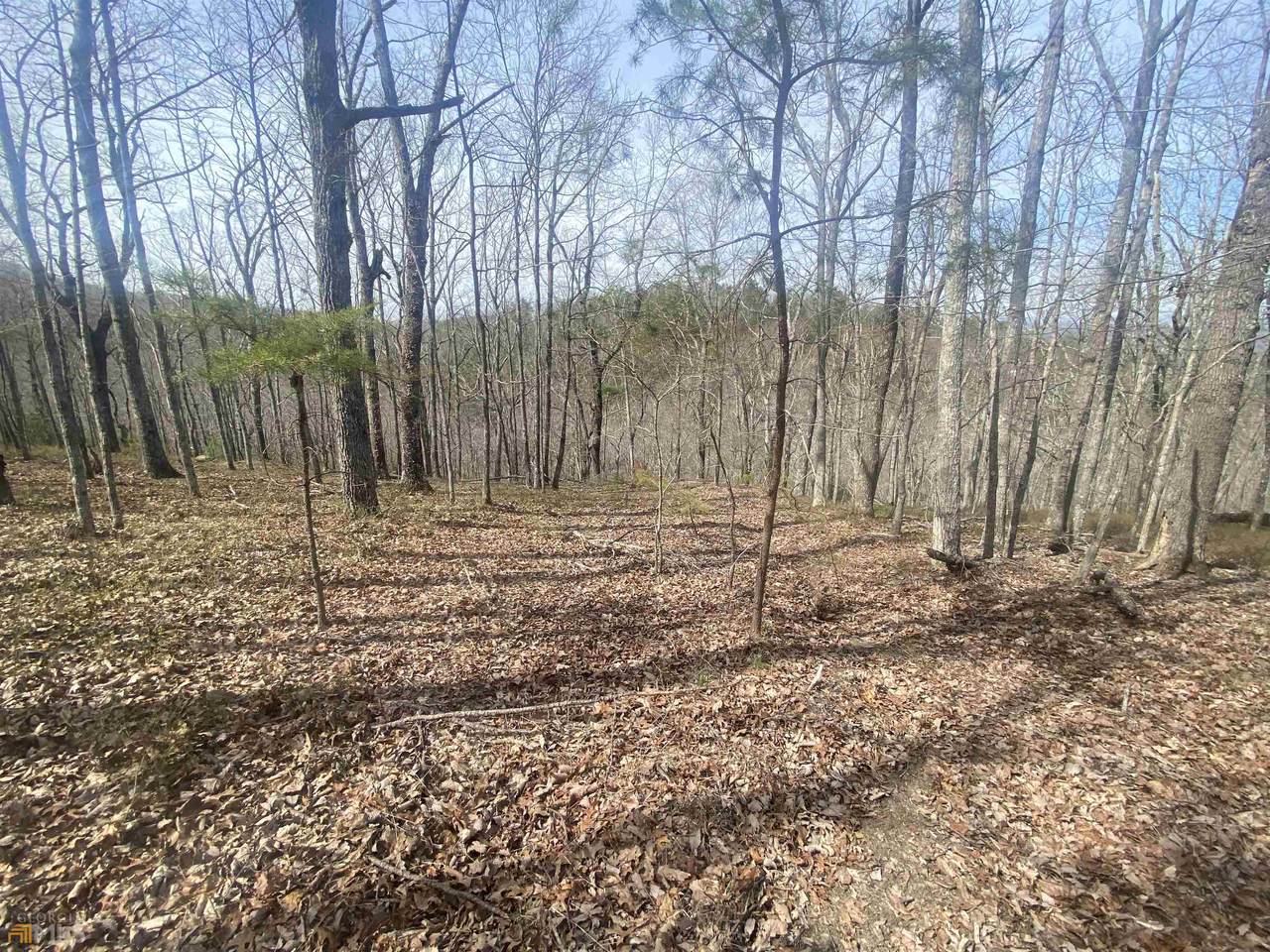 1392 Foxhound Trail - Photo 1