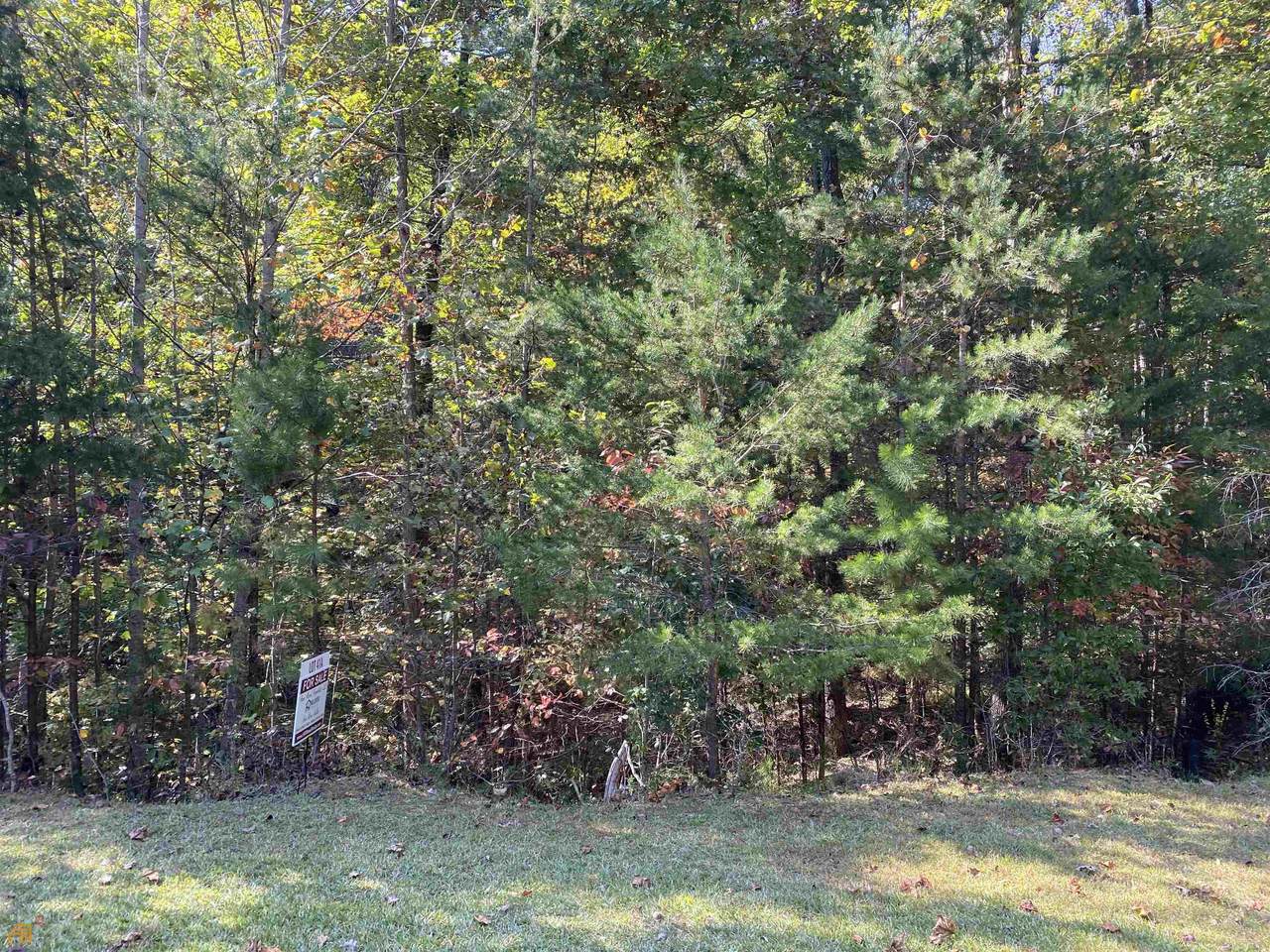 41A Madelyn Anthony Road - Photo 1