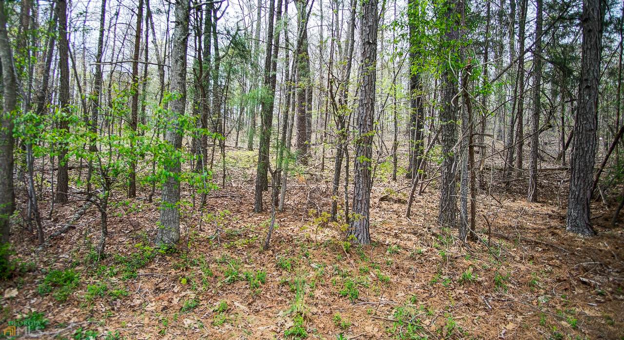00 Double Tree Drive - Photo 1