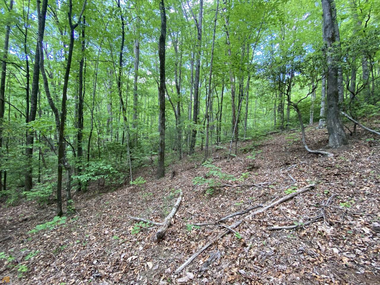 0 Lakespur Lane - Photo 1