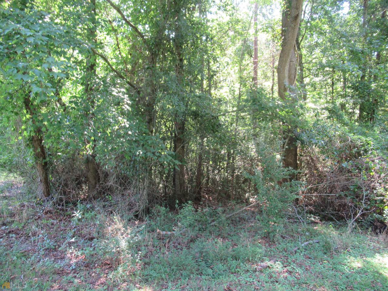 TRACT 3 Crumps Bridge Road - Photo 1
