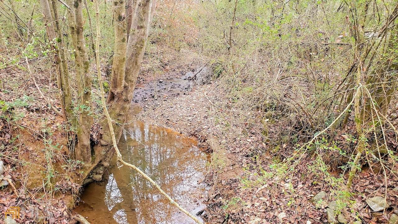 0 Old Roanoke Road - Photo 1