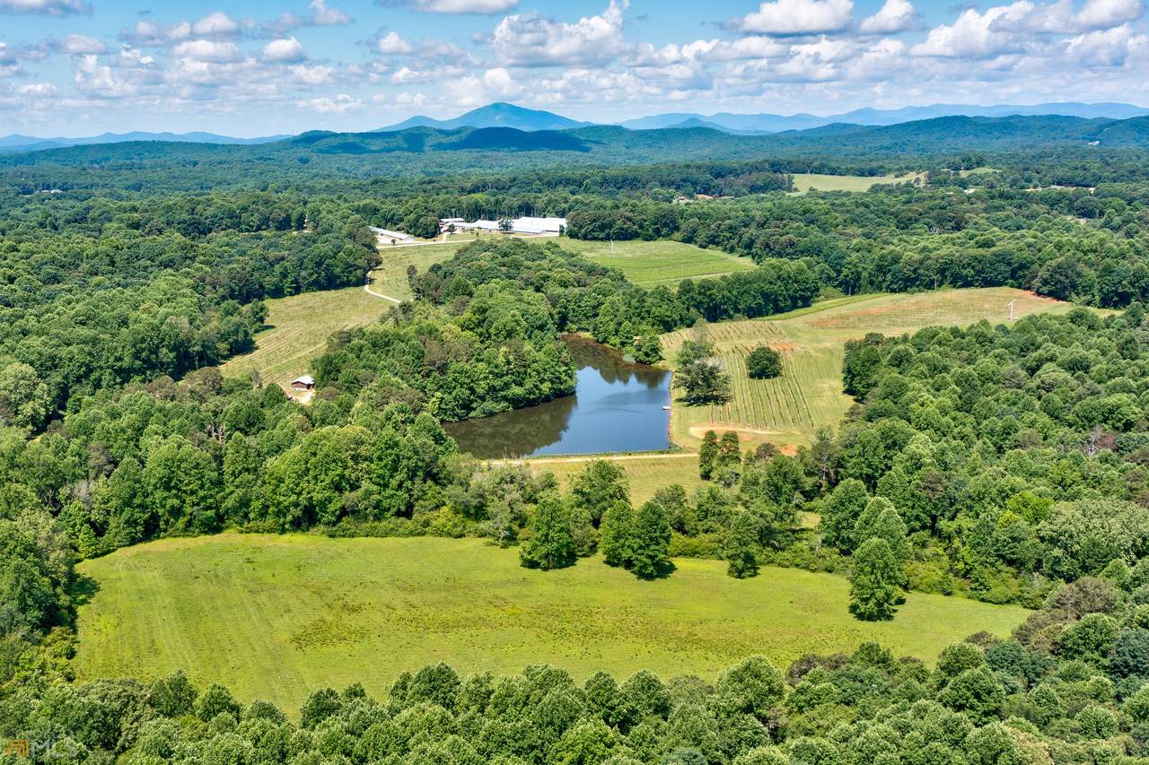 1024 Stonepile Rd - Photo 1