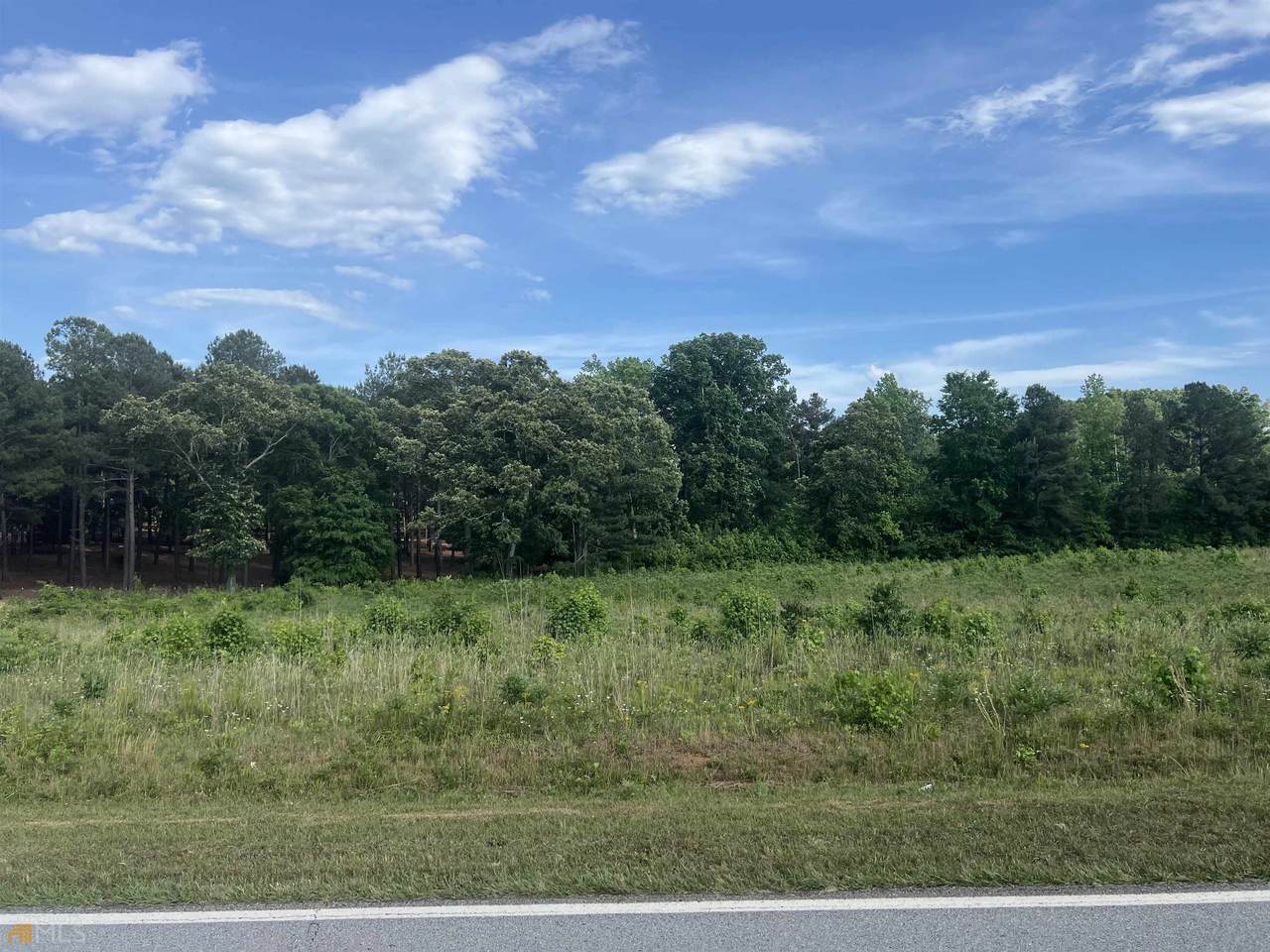 0 Lewis Braselton Blvd Highway 124 Boulevard - Photo 1