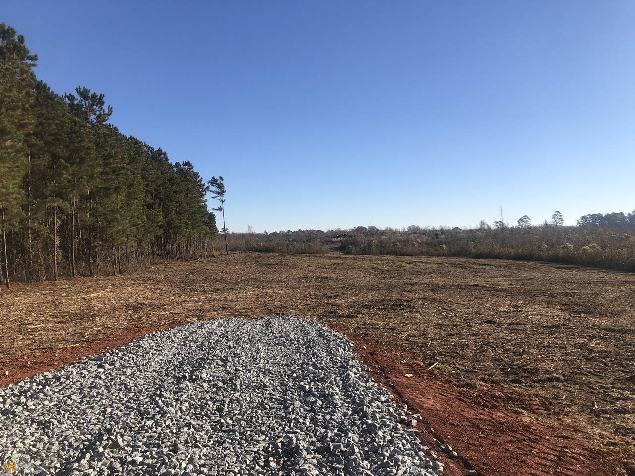 TRACT 2 Reids Ferry Road - Photo 1