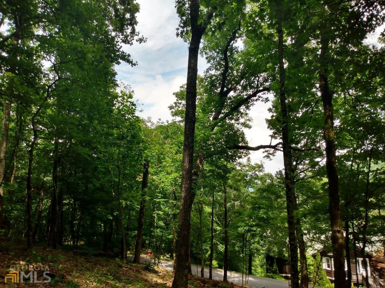 0 Bayberry Lane - Photo 1