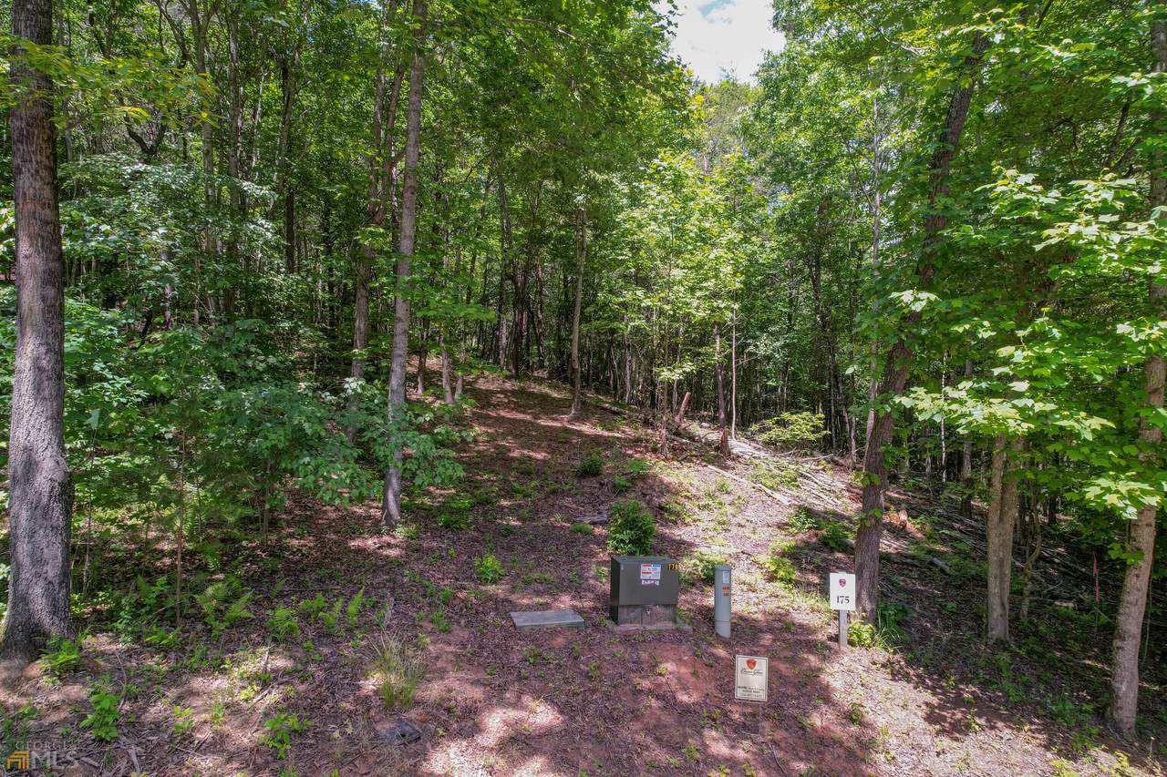 LT 175 Owen Glen Lane - Photo 1