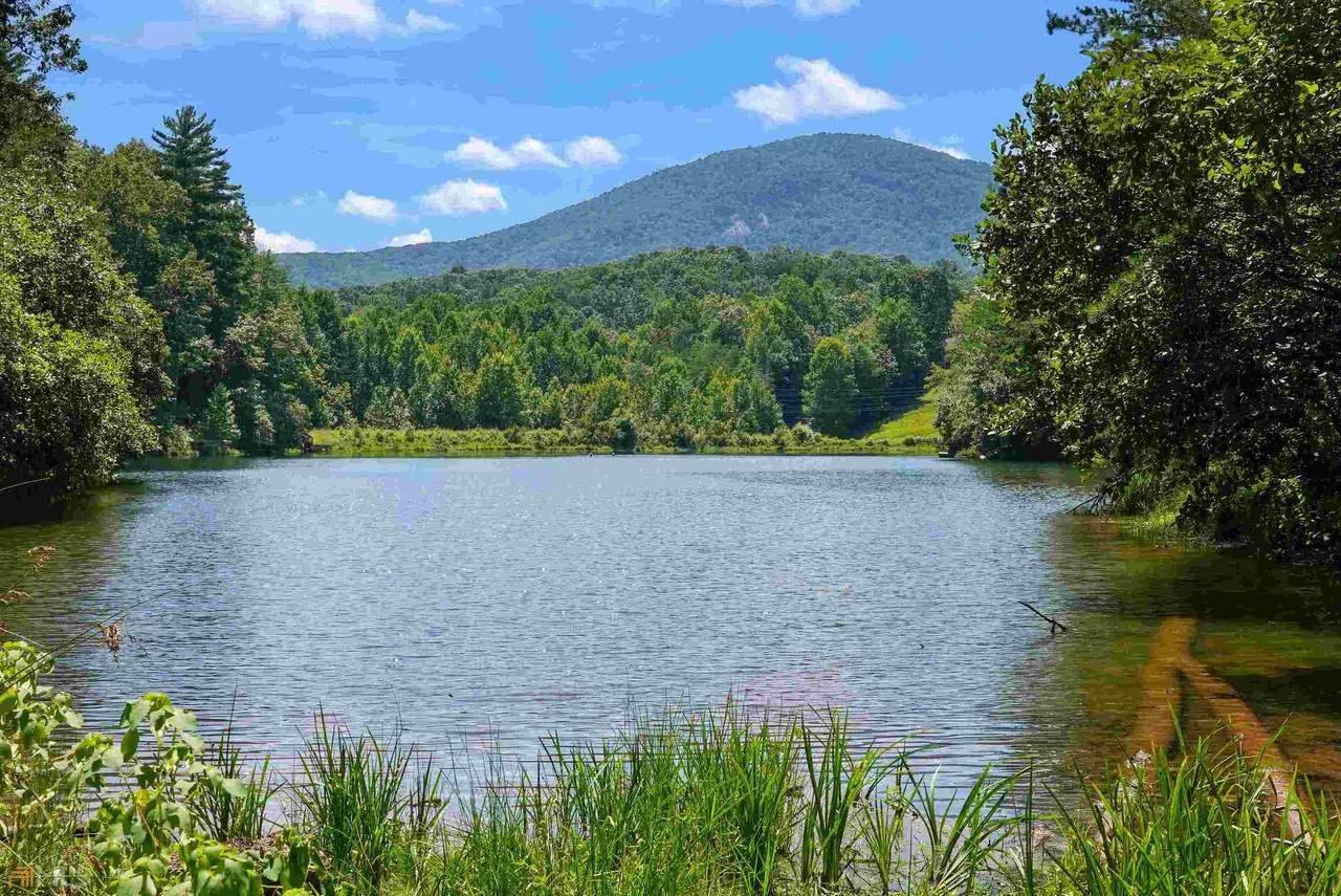 0 Pristine Forest Trail - Photo 1