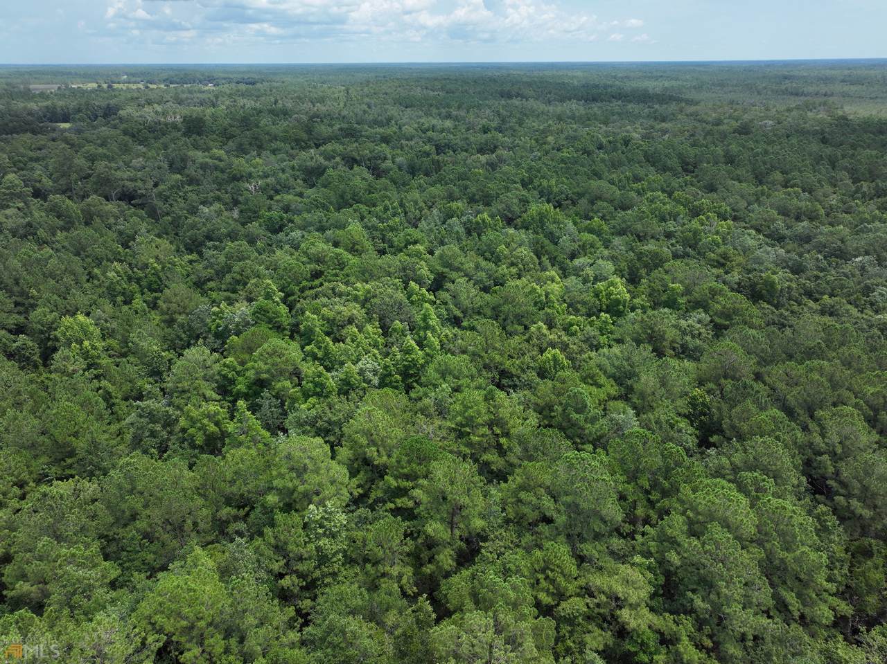 0 Mineral Springs Road - Photo 1