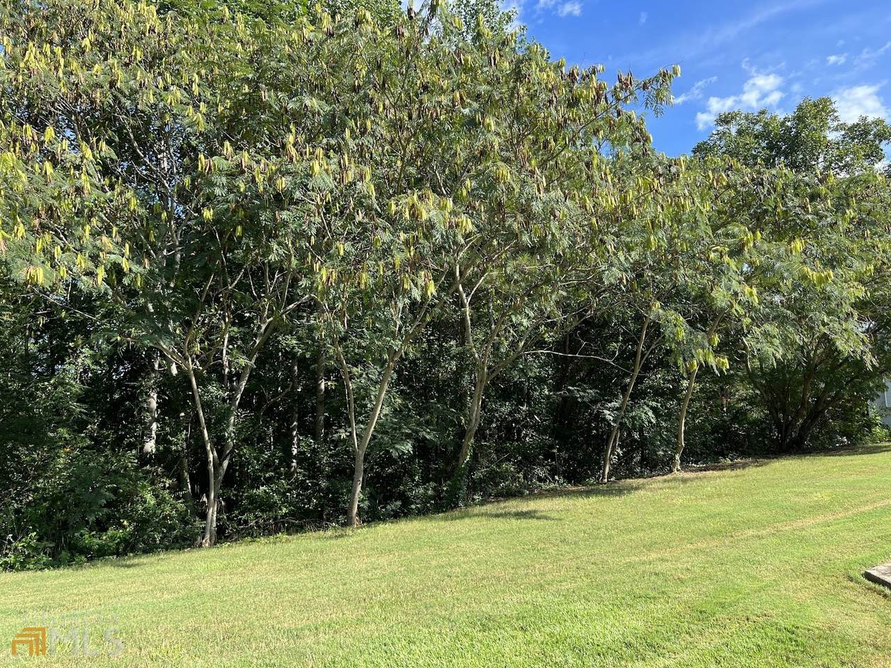 200 Ivey Lake Parkway - Photo 1
