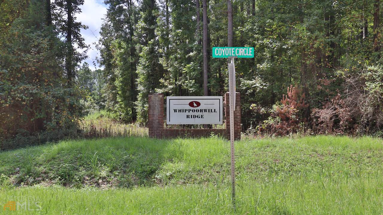 53 Coyote Circle - Photo 1