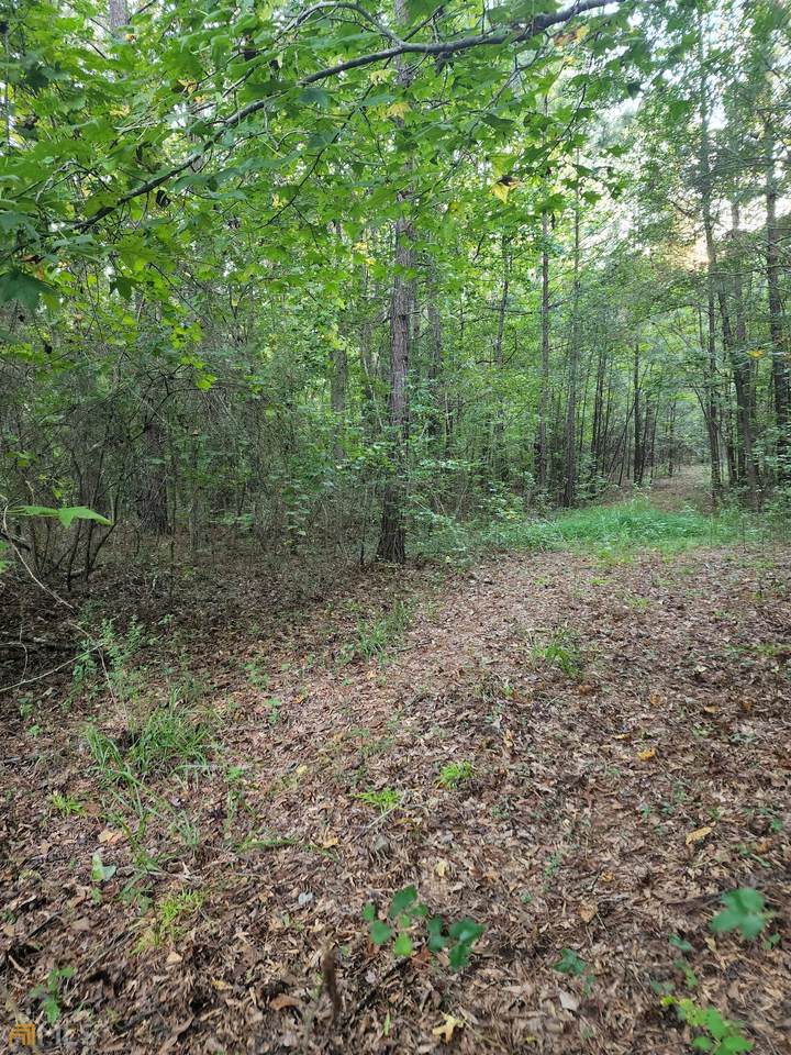 0 Ola Road - Photo 1