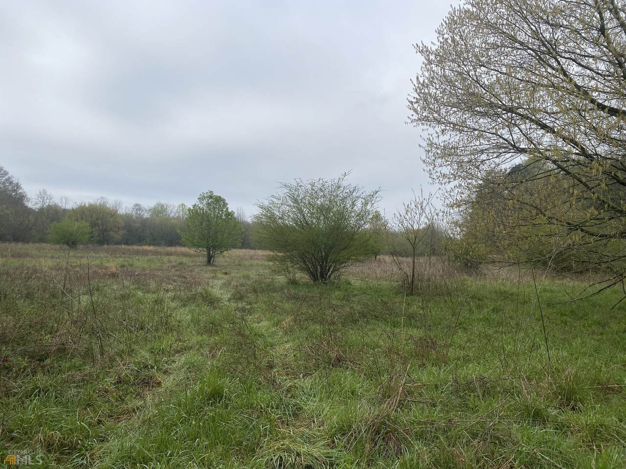 0 Beaver Dam Road - Photo 1