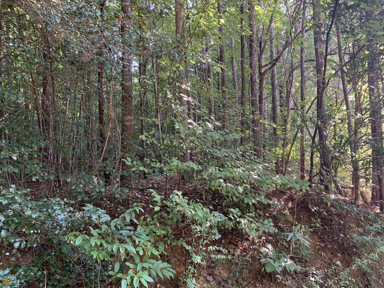 5.10 ACRES Hwy 123 - Photo 1