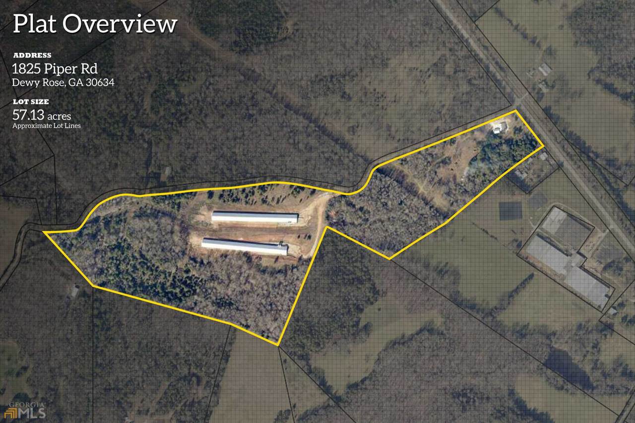 1825 Piper Road - Photo 1
