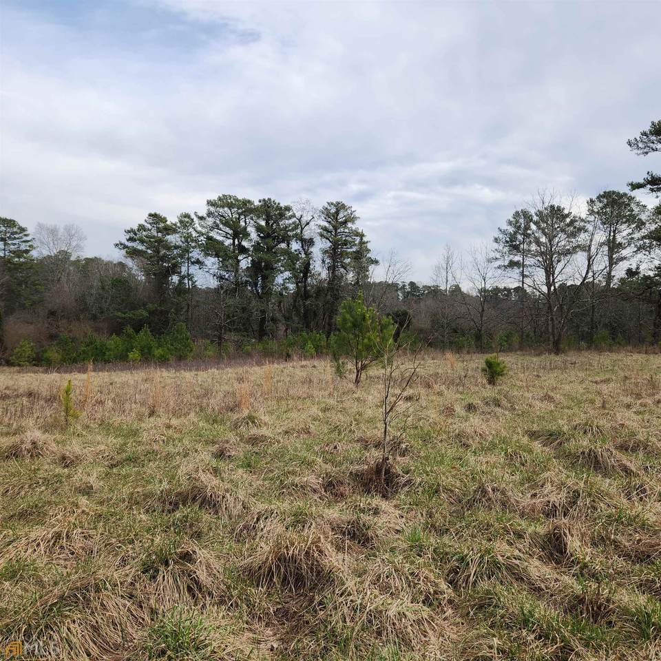 3498 Demooney Road - Photo 1