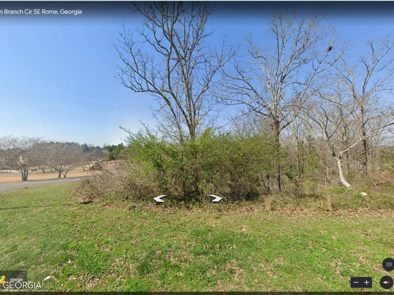0 Fallen Branch Circle - Photo 1