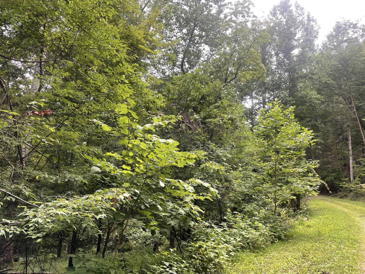 https://bt-photos.global.ssl.fastly.net/gamls/1280_boomver_1_10182316-2.jpg