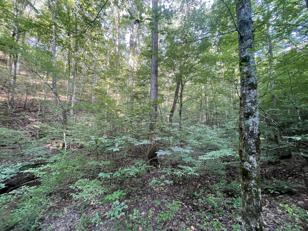https://bt-photos.global.ssl.fastly.net/gamls/1280_boomver_1_10182432-2.jpg