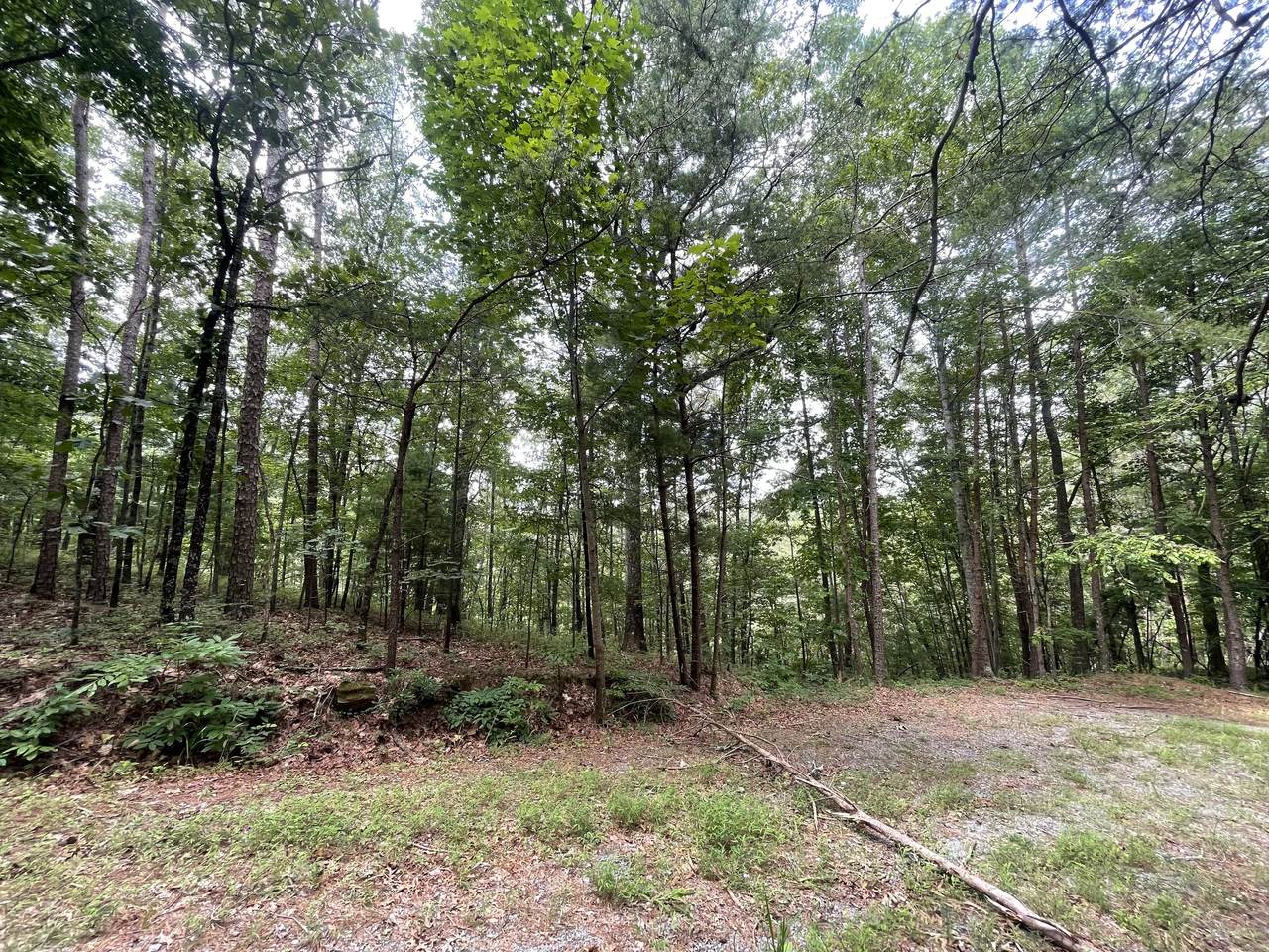 756 Neptune Court - Photo 1