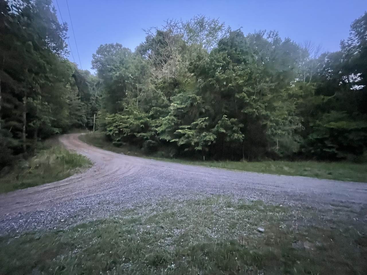 595 Ocelot Trail - Photo 1