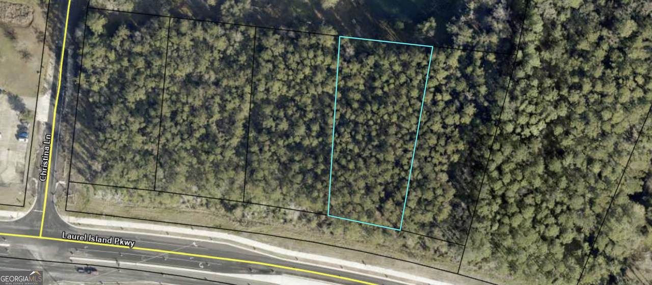 5903 Laurel Island Parkway - Photo 1