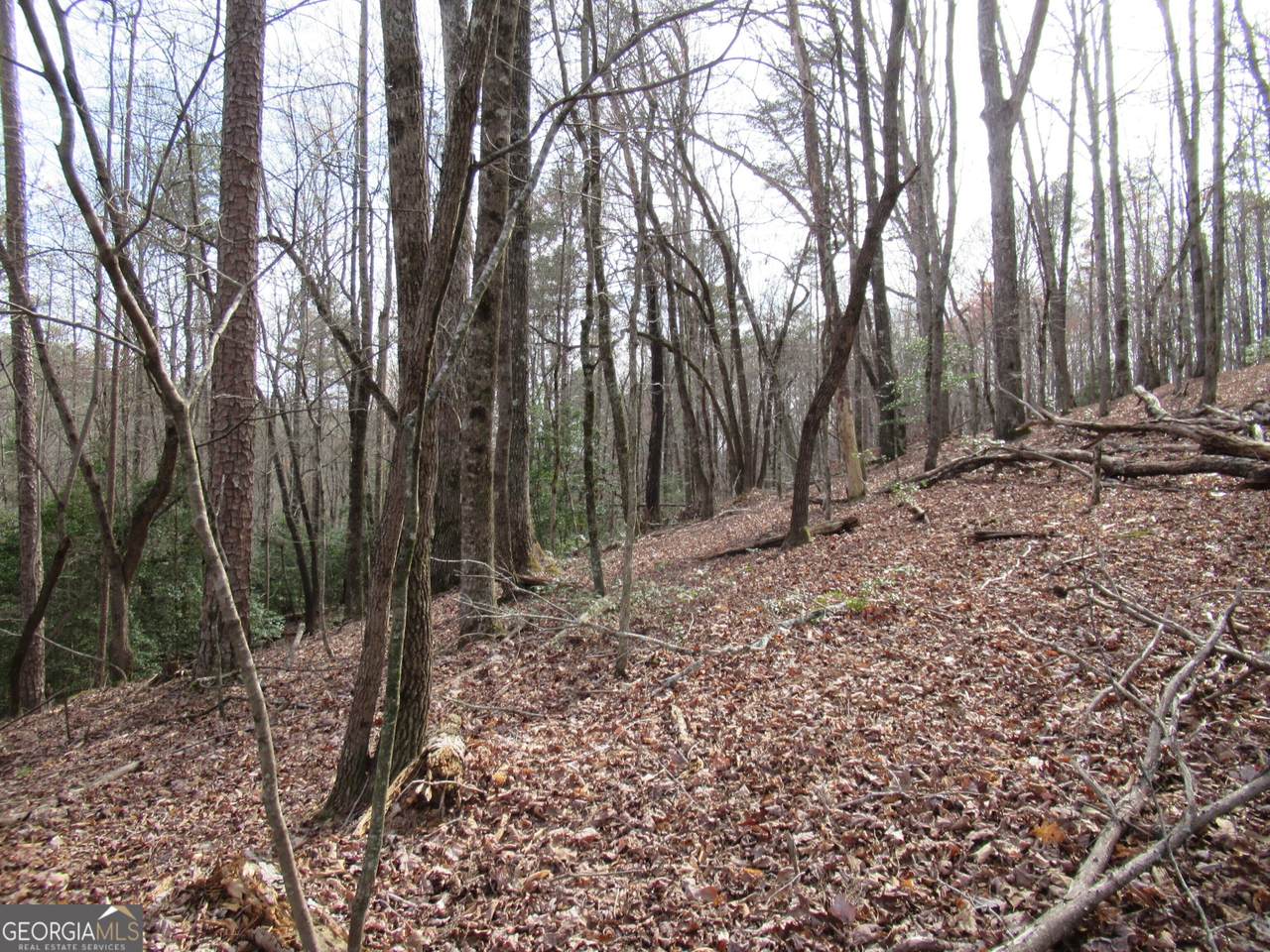 0 Long Branch Road - Photo 1