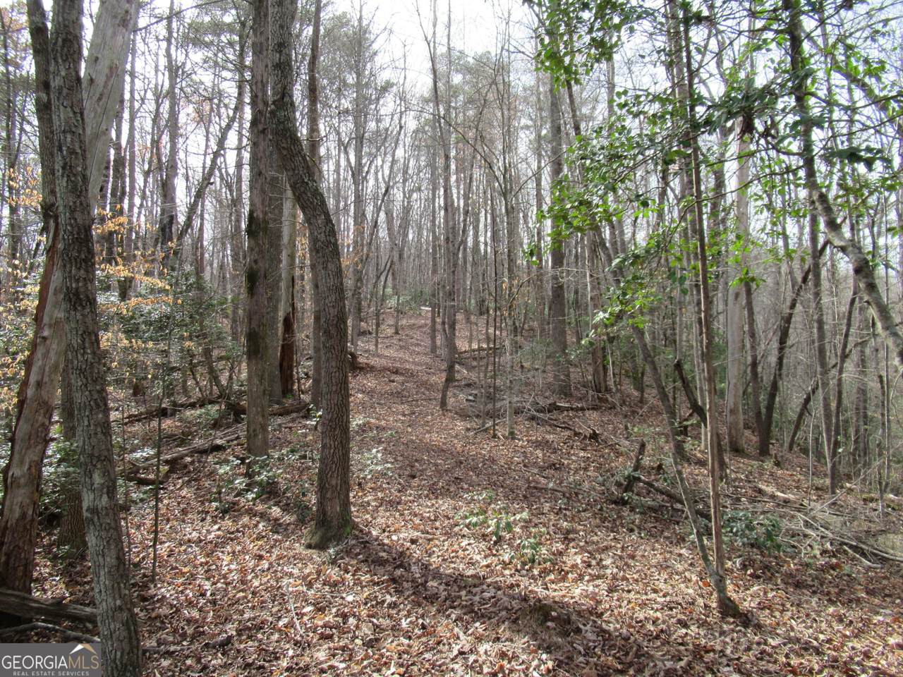 0 Long Branch Road - Photo 1