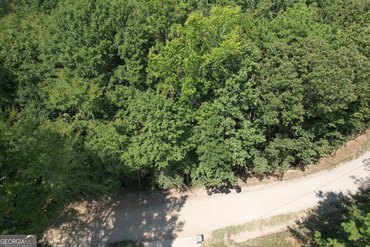 TRACT D Hunter Road - Photo 1
