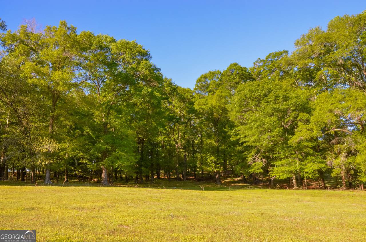 0 Payne Pond Road - Photo 1