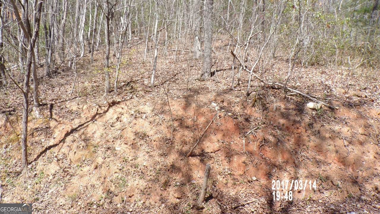 #3 Strawberry Fields - Photo 1