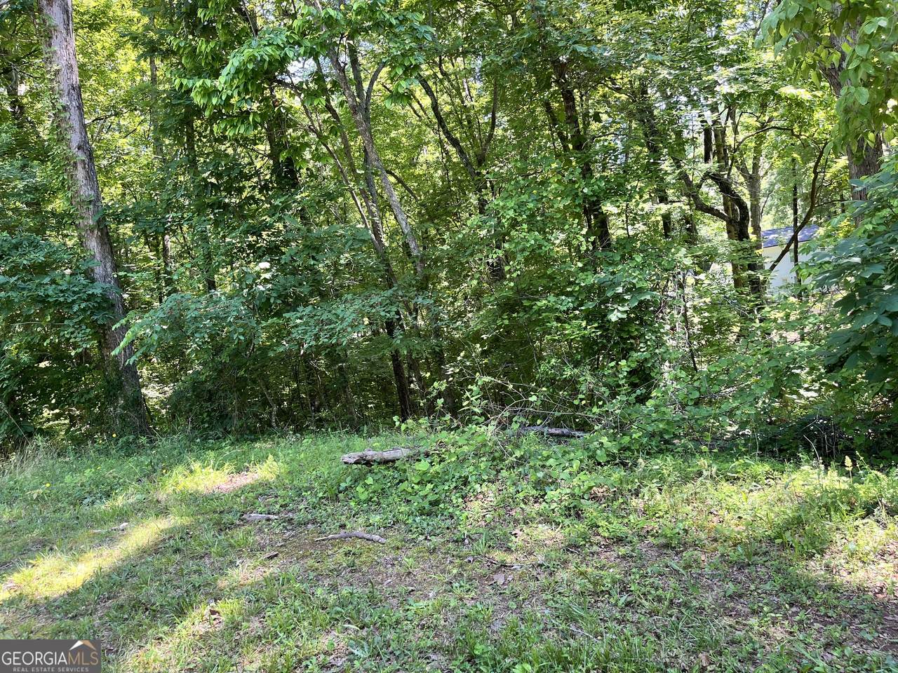0 Thunder Trail - Photo 1