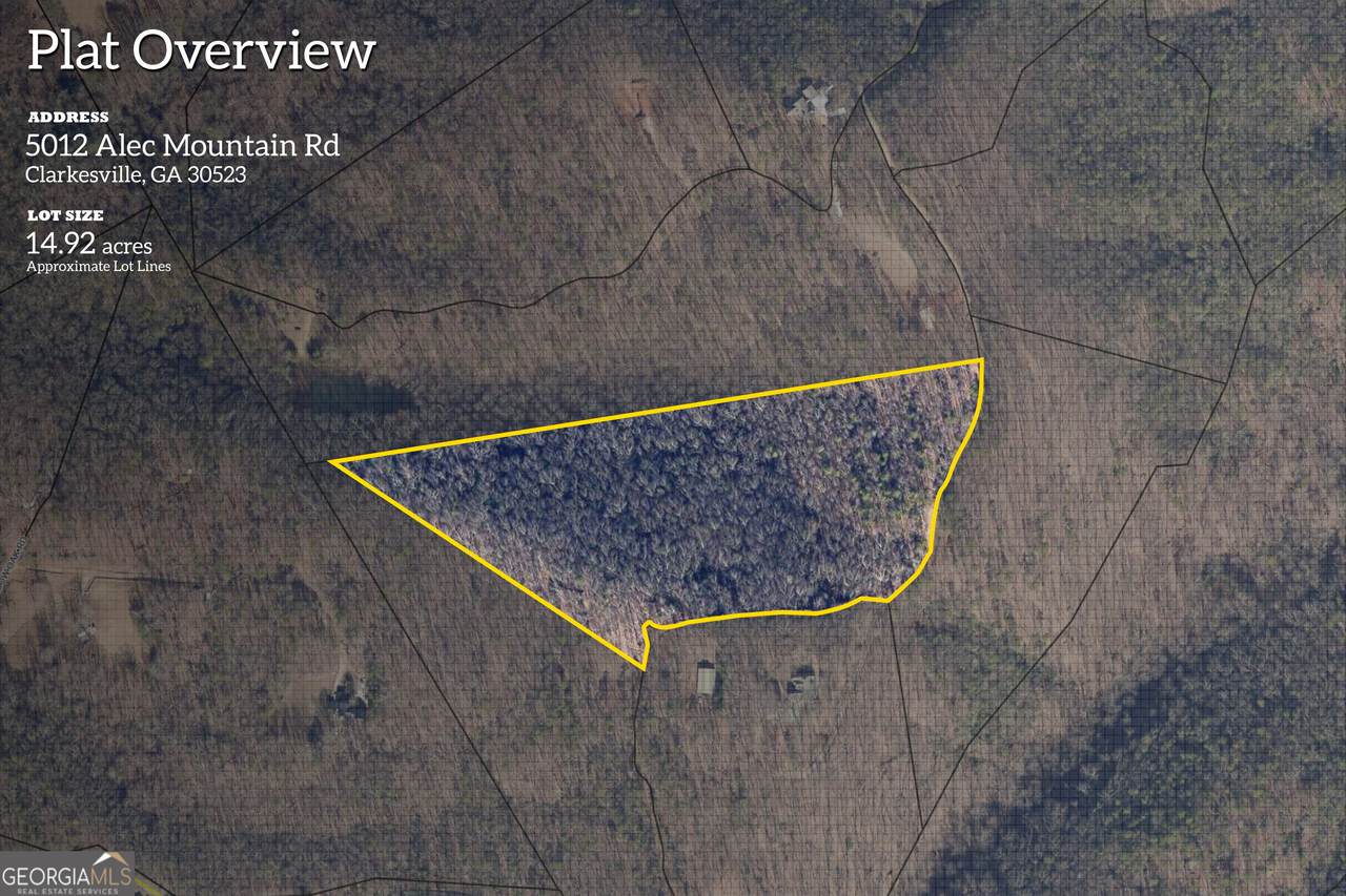 5012 Alec Mountain Road - Photo 1