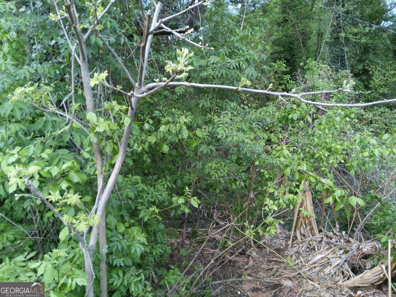 https://bt-photos.global.ssl.fastly.net/gamls/1280_boomver_1_10311541-2.jpg