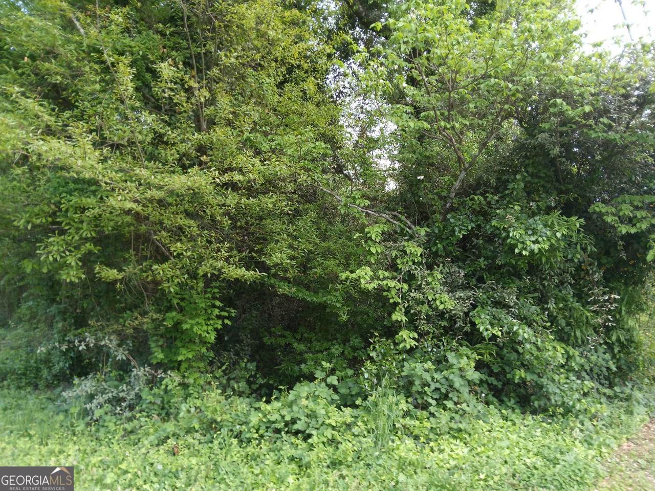 https://bt-photos.global.ssl.fastly.net/gamls/1280_boomver_1_10311541-2.jpg