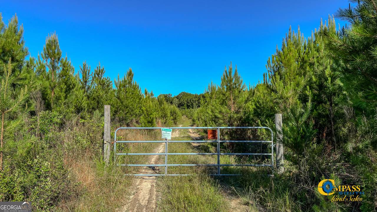 0 Marvis Chapman Road - Photo 1