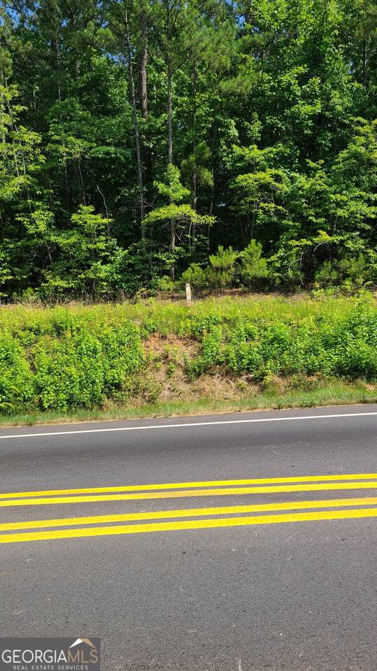 0 Stewart Mill Road - Photo 1