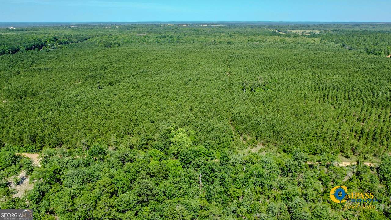 0 Montgomery Road - Photo 1