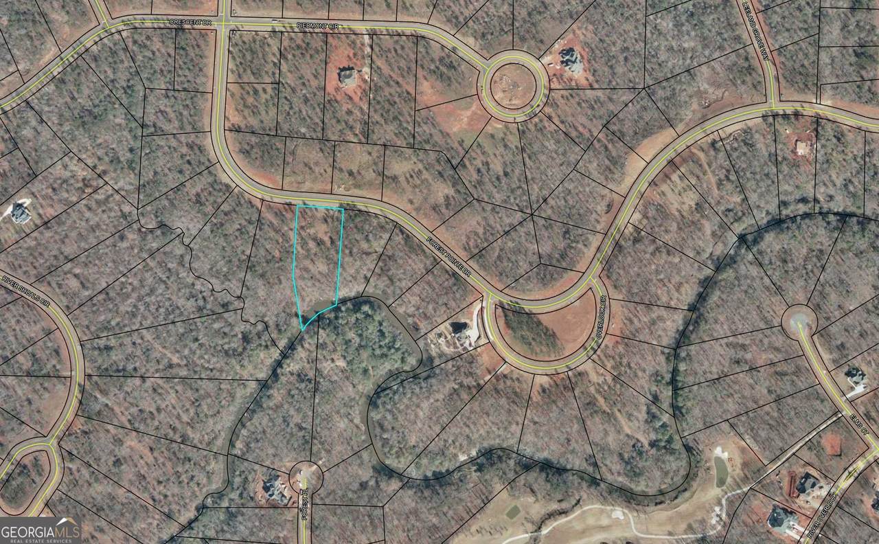 607 Forest Pointe Drive - Photo 1