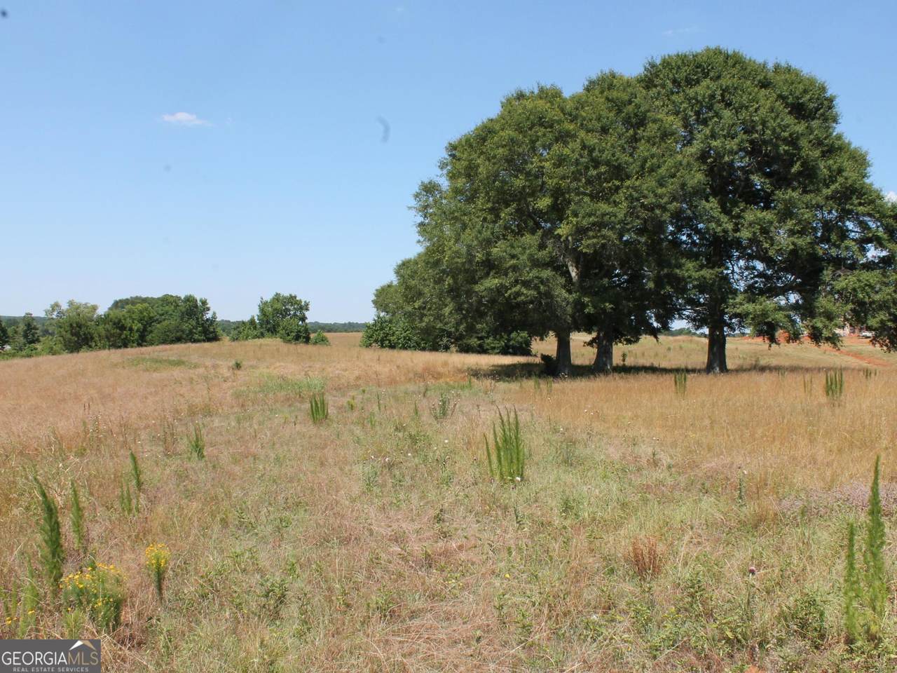 0 Sandy Creek Road - Photo 1