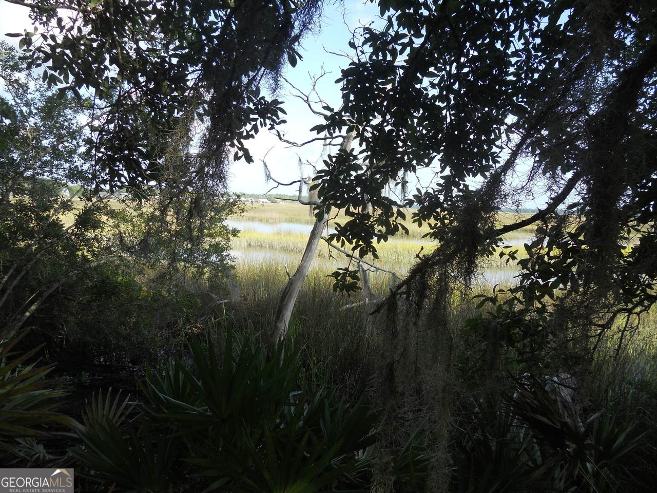 0 Woodstork Place - Photo 1