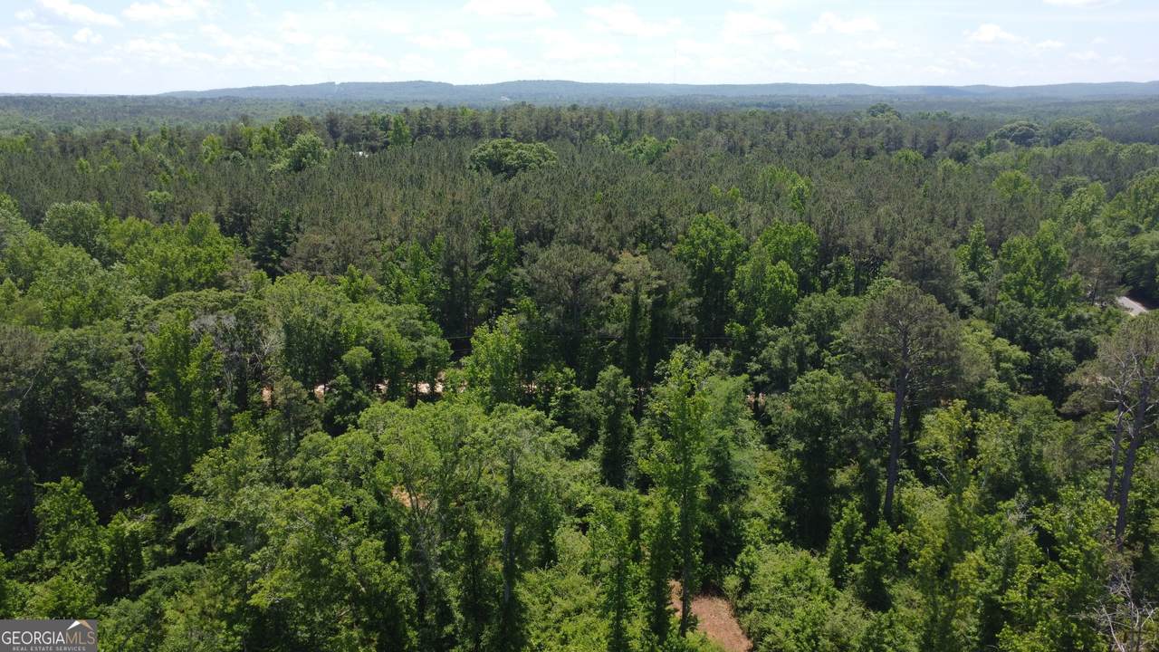 0-2 Roosevelt Highway - Photo 1